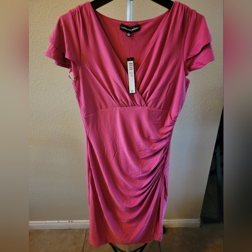 Catherine Malandrino Dress size 8 Fuchsia